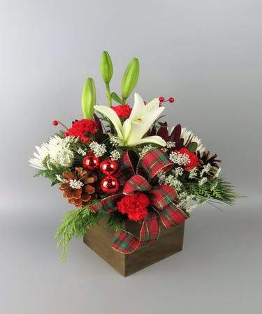 Holiday Cheer - Blooms In Bloom